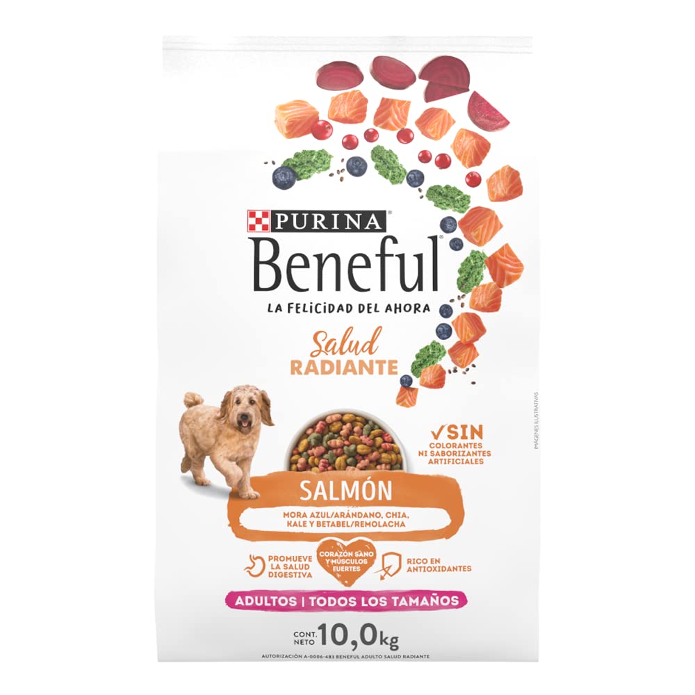 PURINA | Beneful Sunrise alimento para perro adulto todos los tamaños 10kg