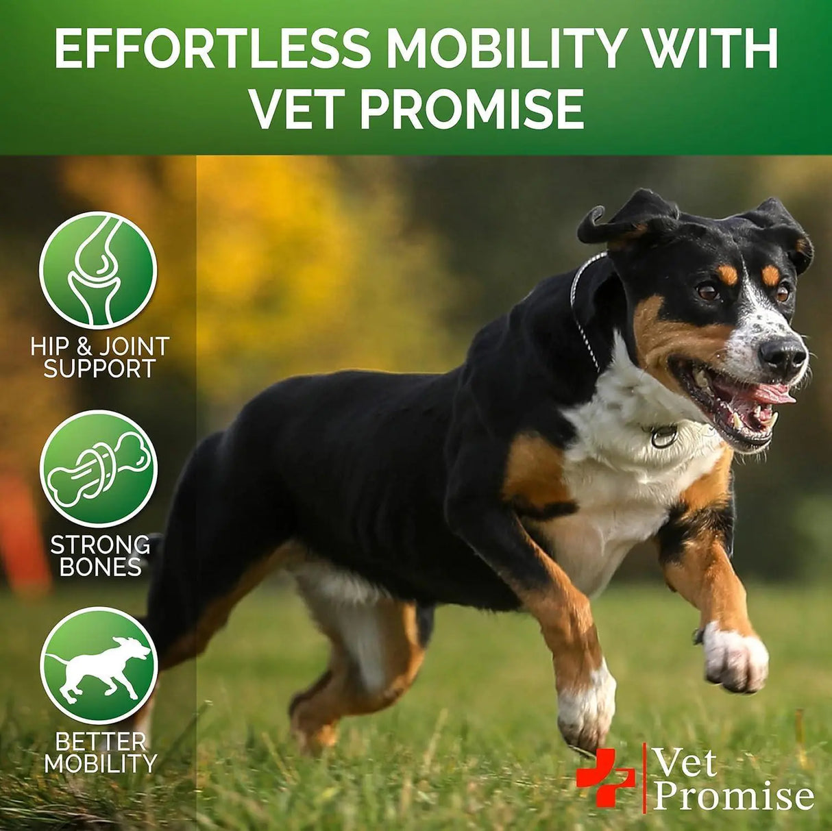 Vet Promise | Pack de 2 tabletas masticables de glucosamina para perros