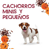 PURINA | Beneful 20 sobres de alimento para perros mini y pequeños