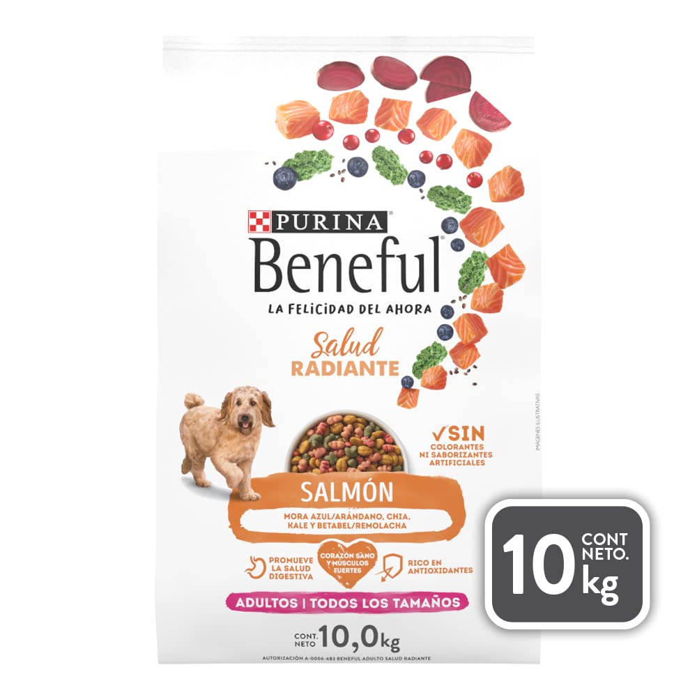 PURINA | Beneful Sunrise alimento para perro adulto todos los tamaños 10kg