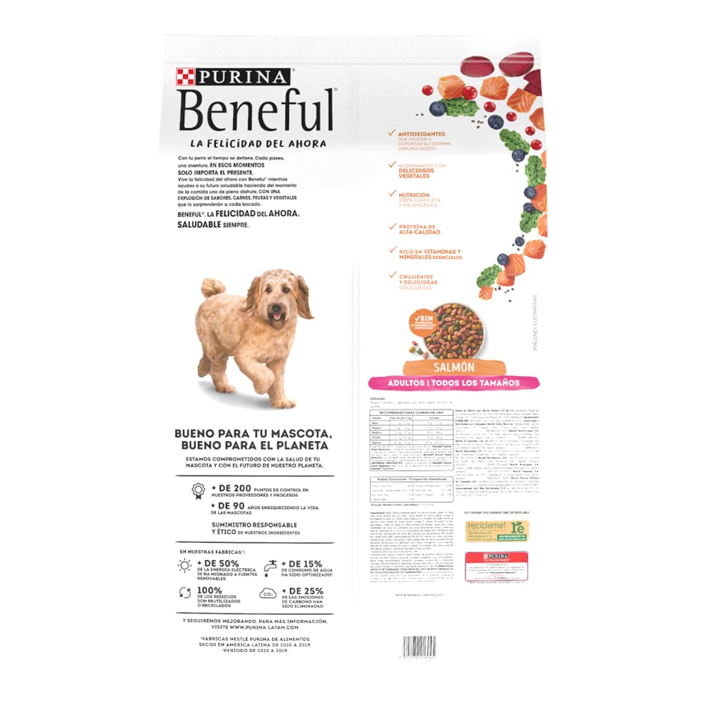 PURINA | Beneful Sunrise alimento para perro adulto todos los tamaños 10kg