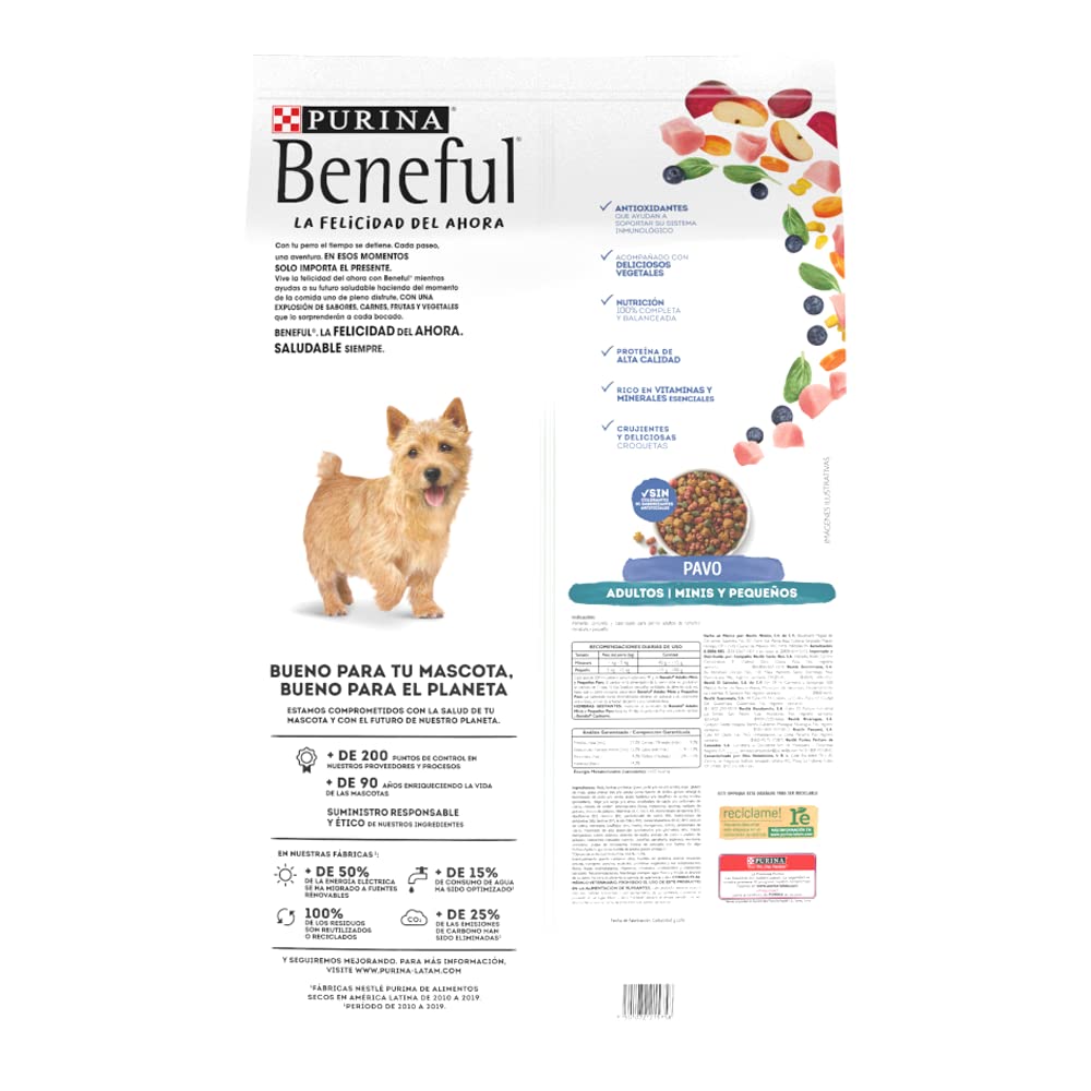 PURINA | Beneful Sunrise alimento para perro adulto todos los tamaños 10kg