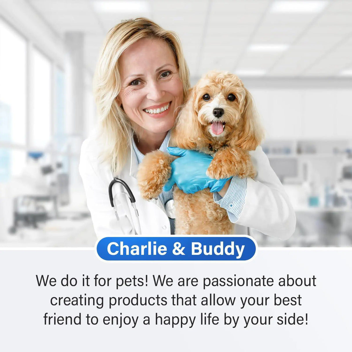 Charlie & Buddy | Tabletas masticables relajantes para perro