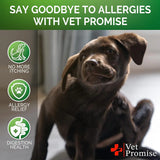 Vet Promise | Pack de 2 masticables para perros contra alergias y picazon