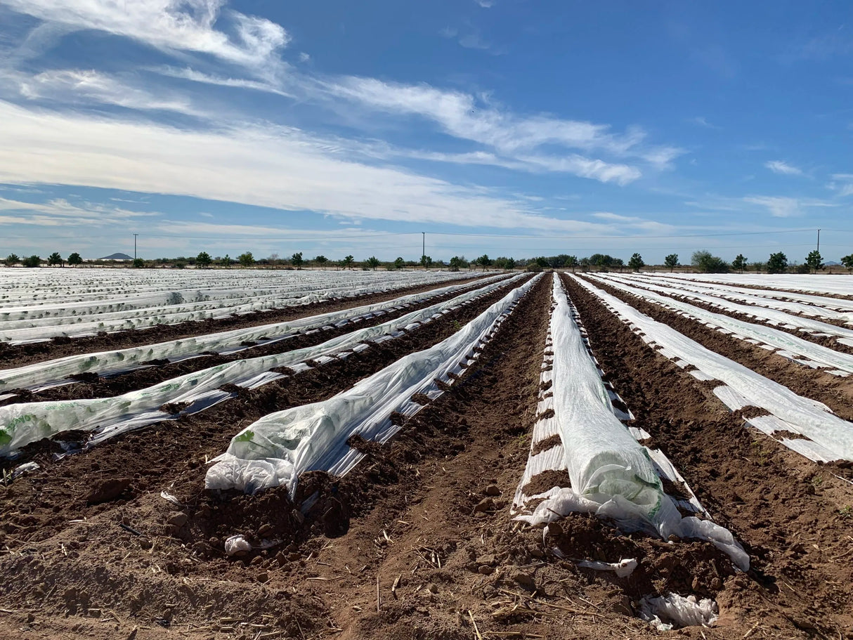 Agribon | Rollo agrovelo de polipropileno