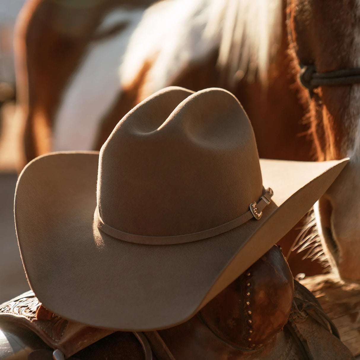 STETSON | Sombrero vaquero Skyline 7242 6X