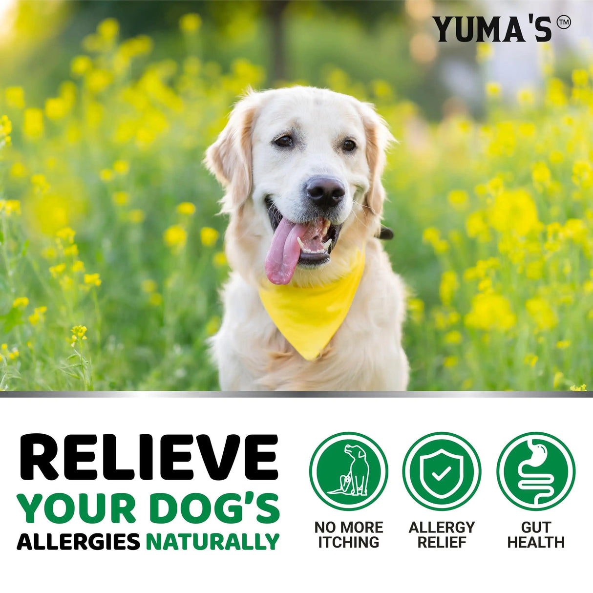 YUMA´S | Tabletas contra la alergia y comezon para perros