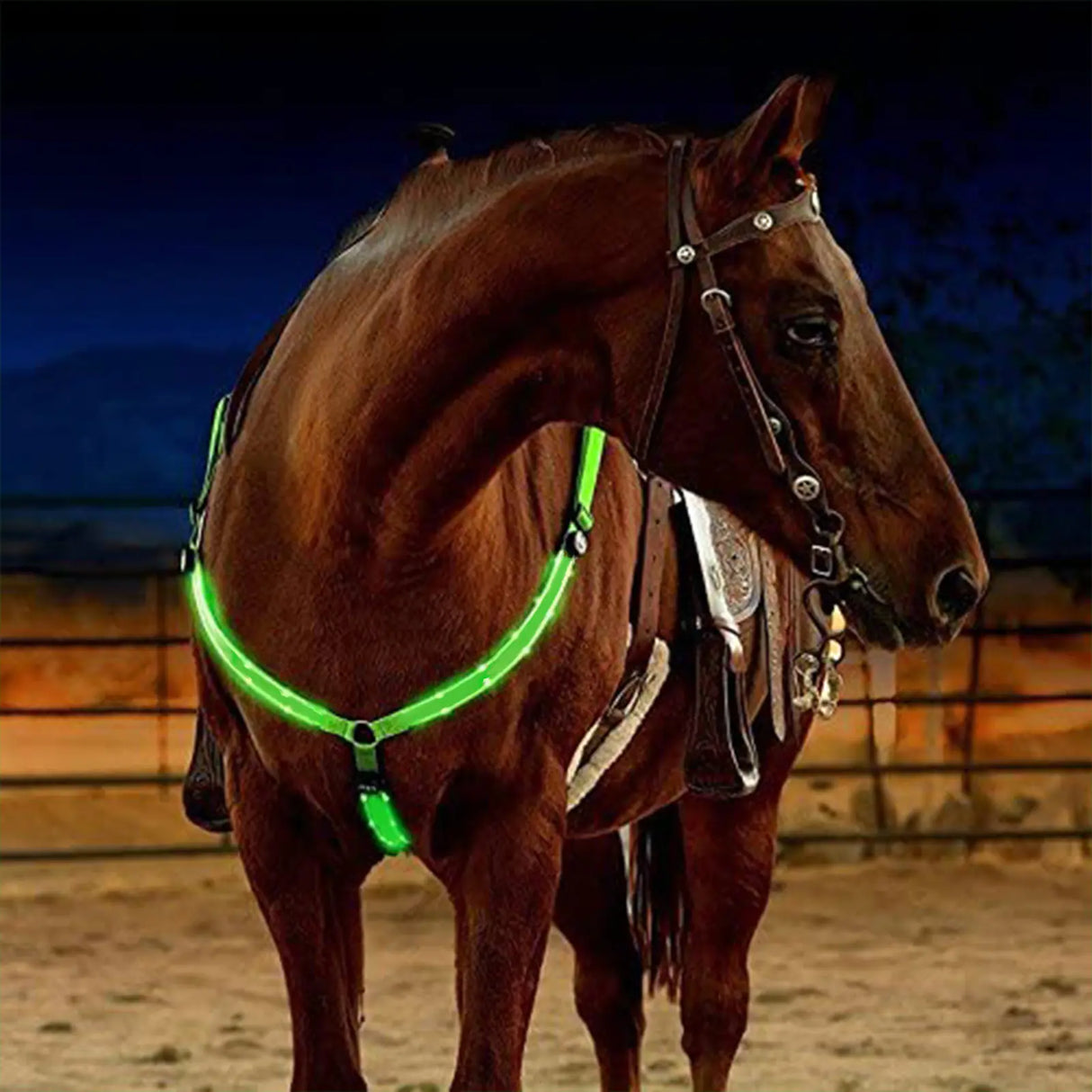 AgroStable | Arnes LED de nylon para caballo