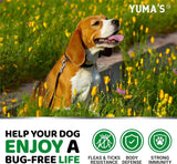 YUMA´S | Pack de 2 masticables naturales para prevencion de pulgas y garrapatas