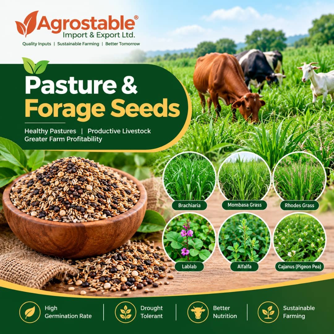 Pasture & Forage Seeds