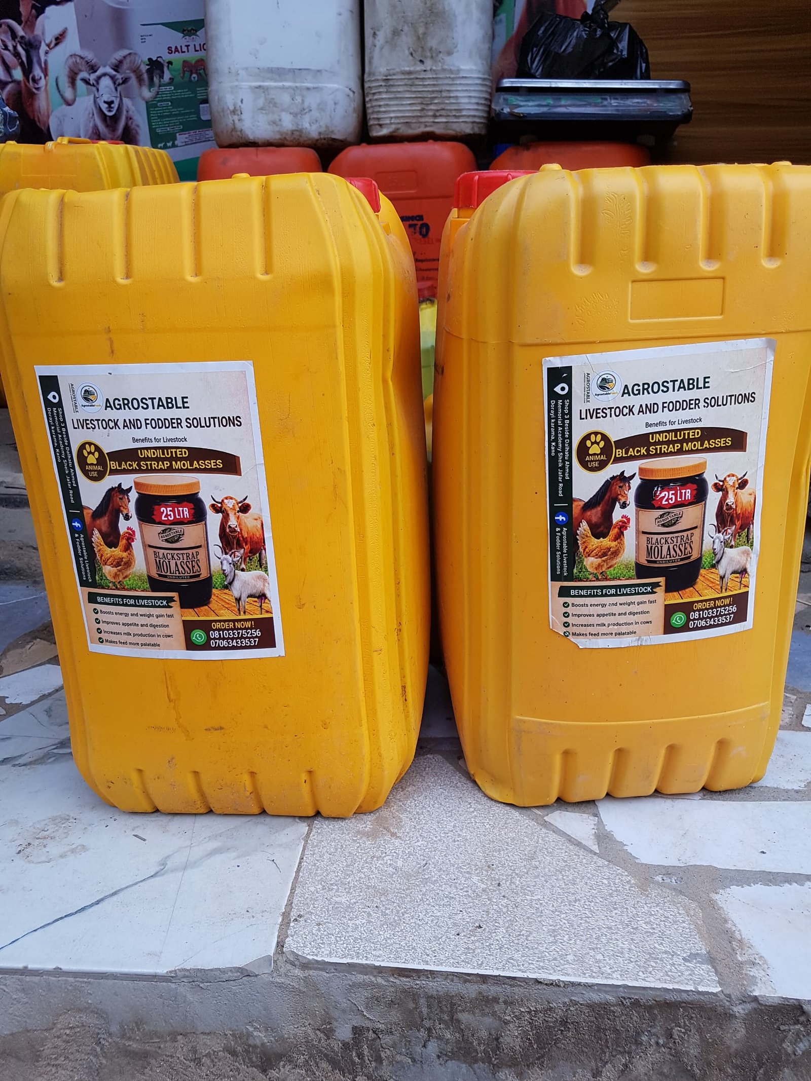 Molasses  25L