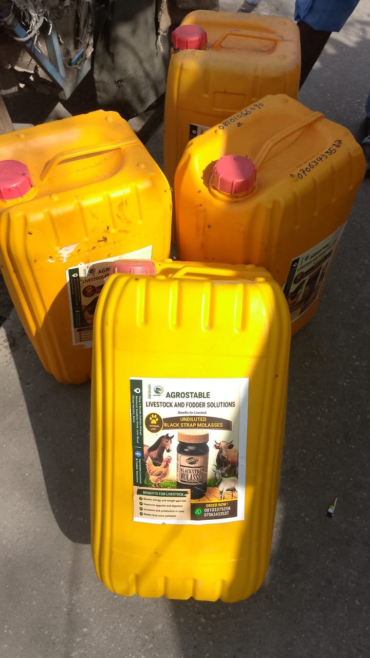 Molasses  25L