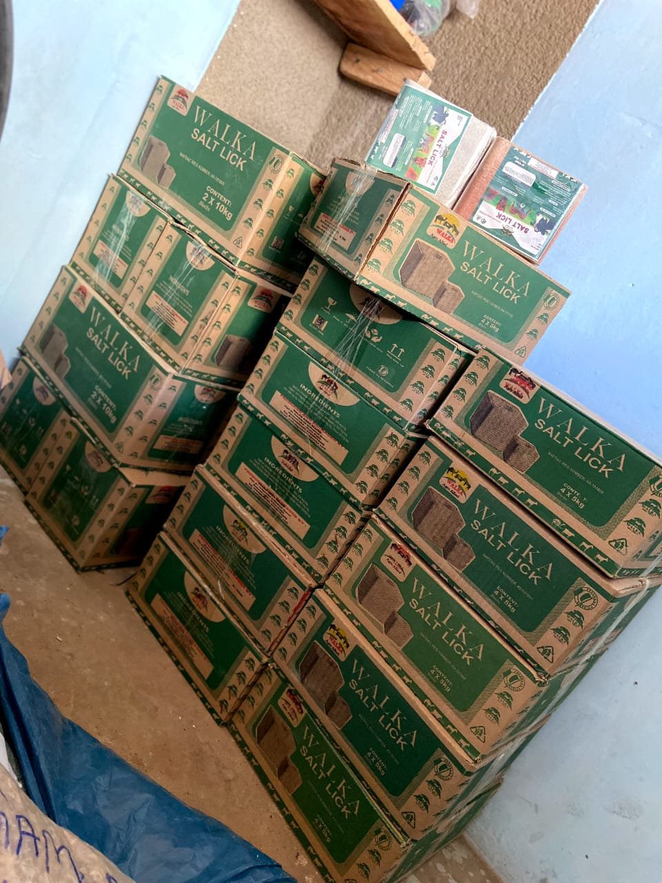 Carton of Salt Lick Block