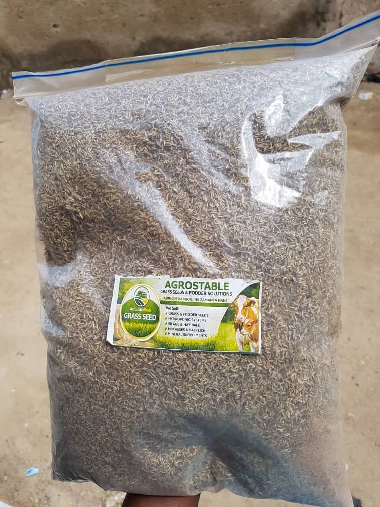 Rhodes Grass Seed 2kg