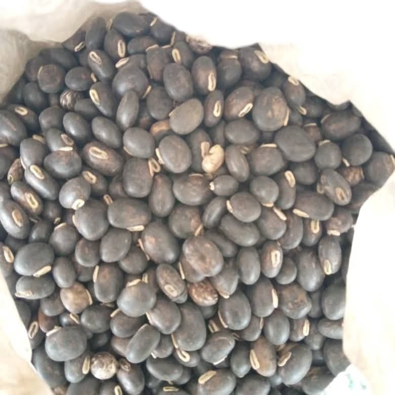 Macuna seed 1kg pack