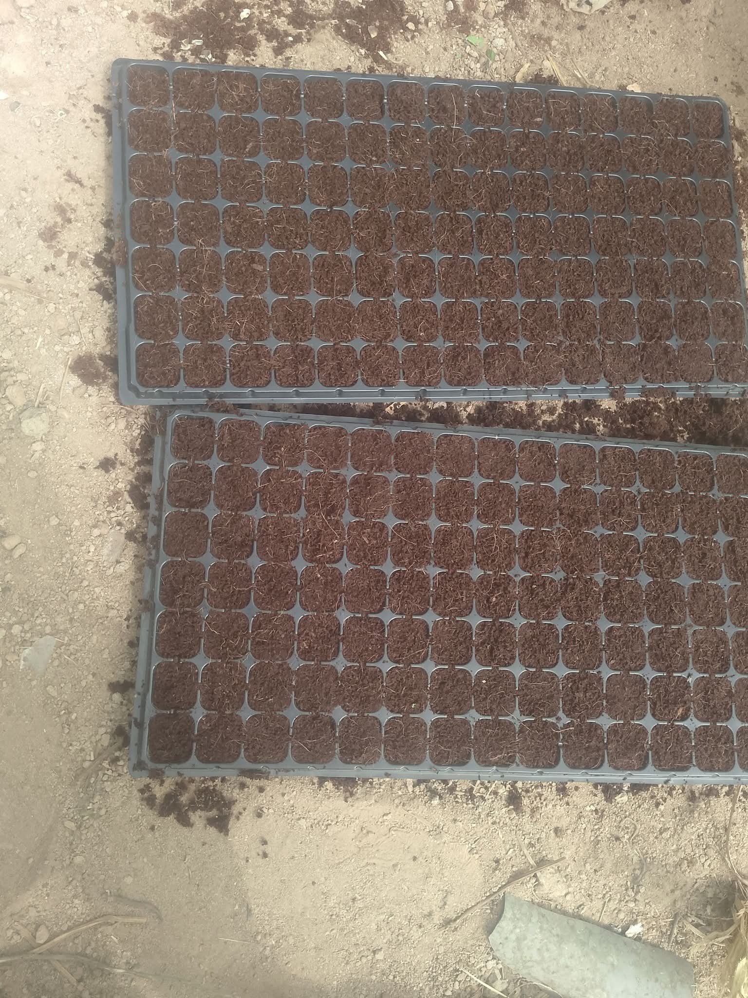 Seed Tray – 288 Cells