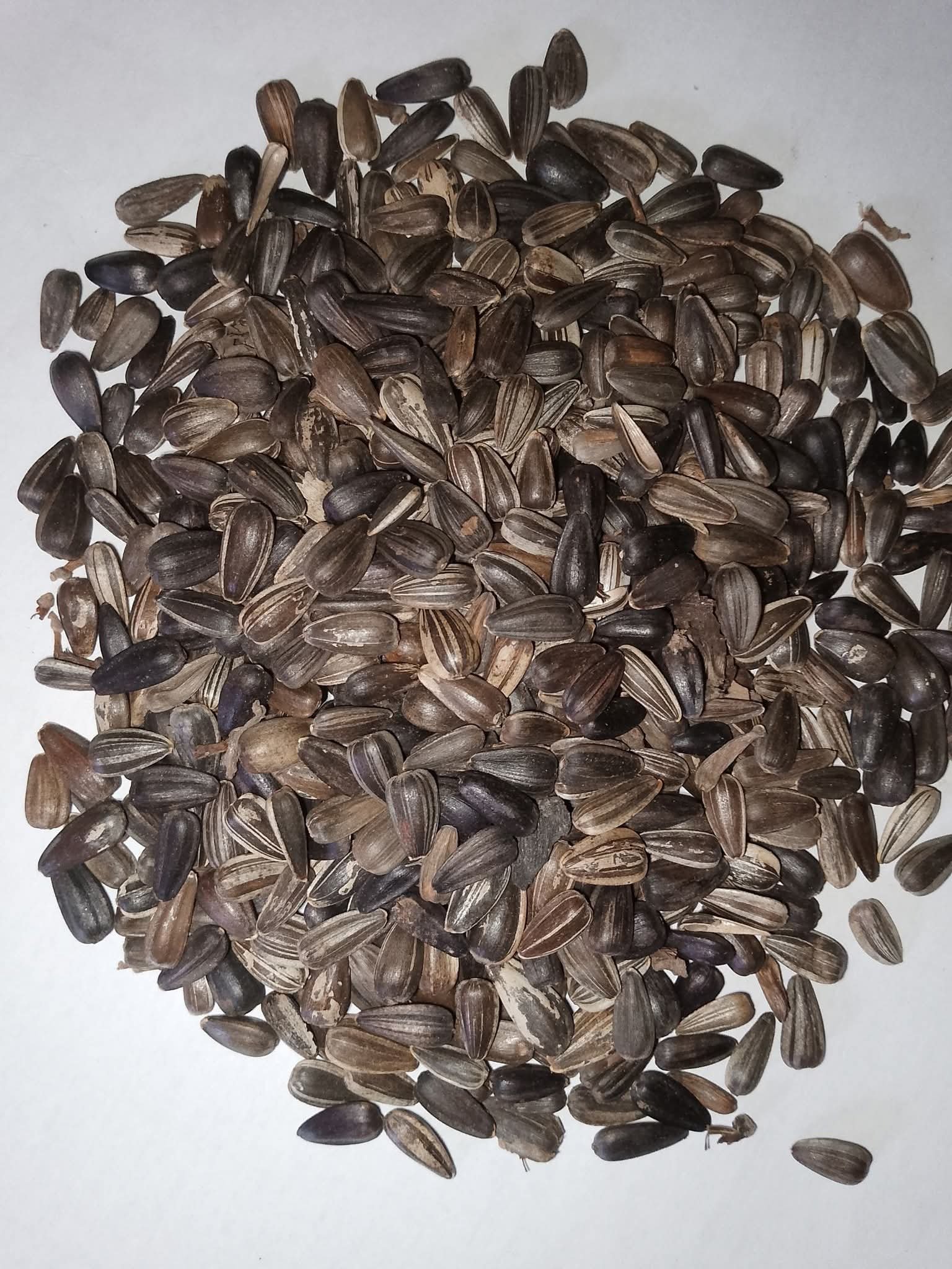 Sunflower seeds 2kg pack