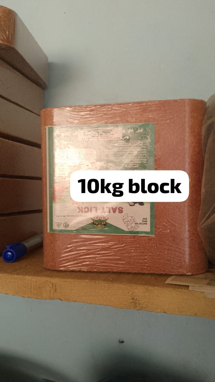 10kg Block of Salt lick
