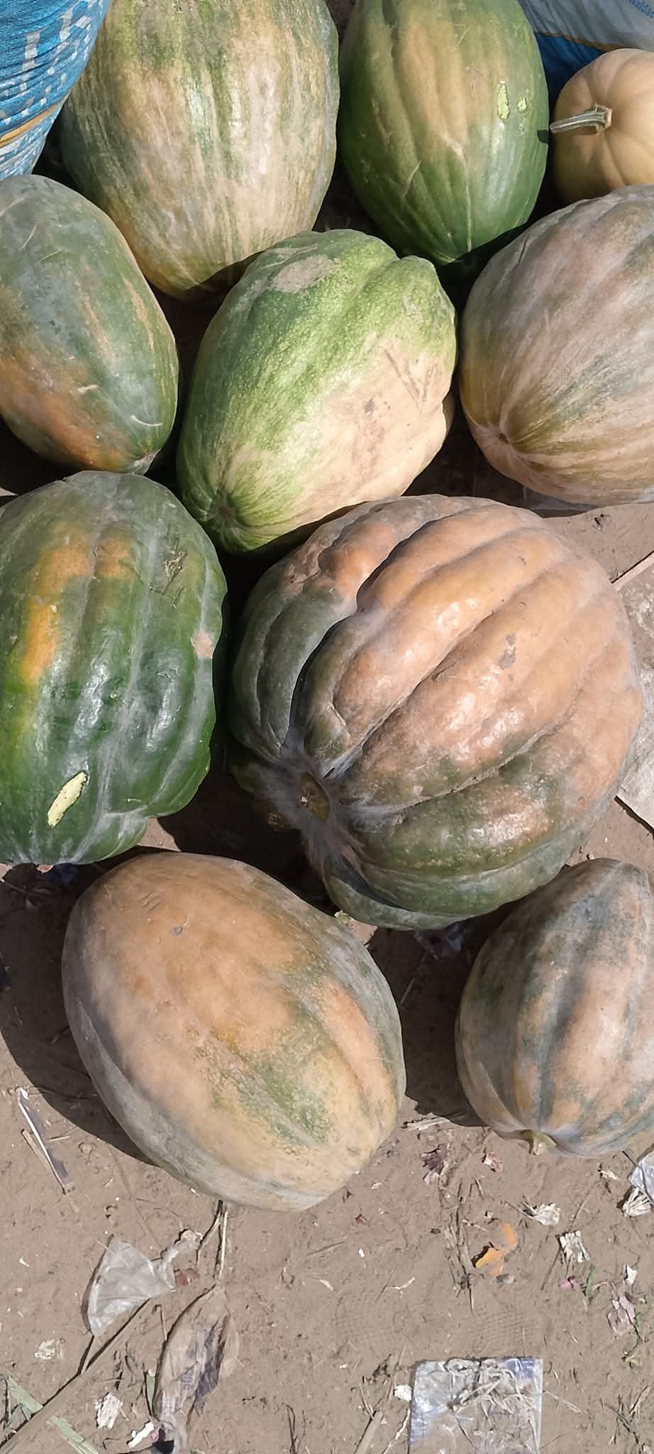Pumpkin seed 1kg