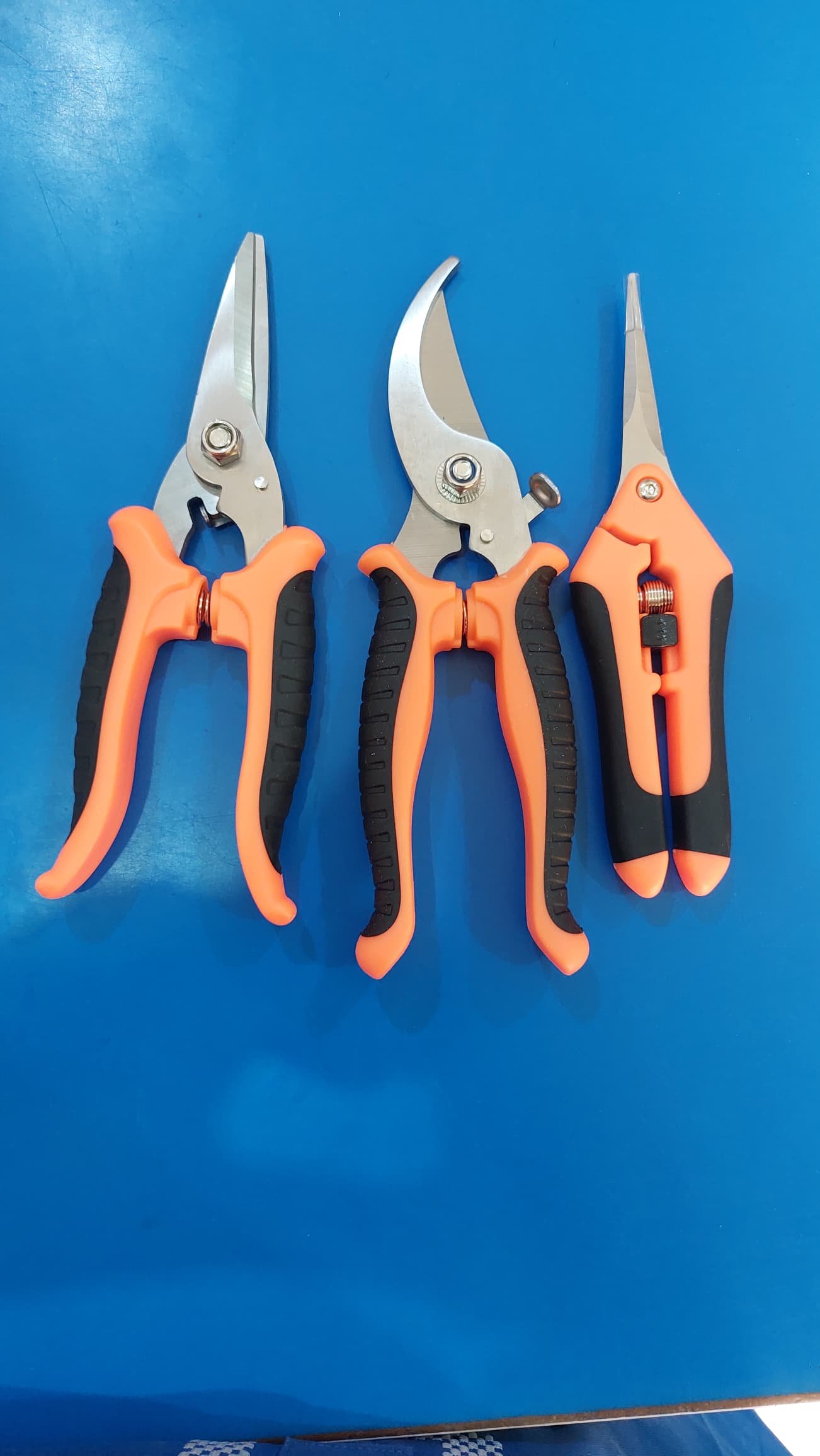 Hoof cutter 