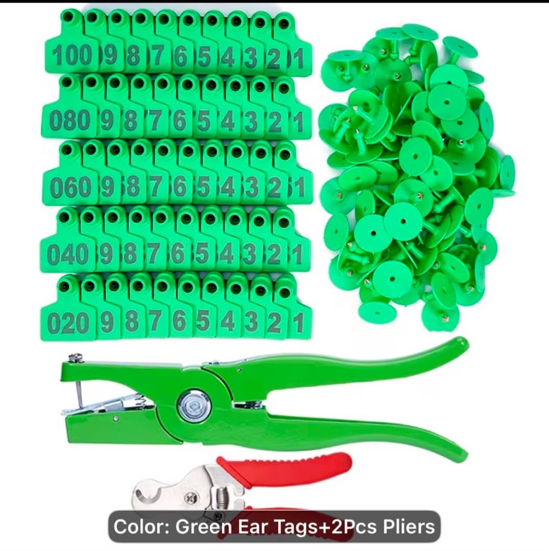 Ear tags 100pcs