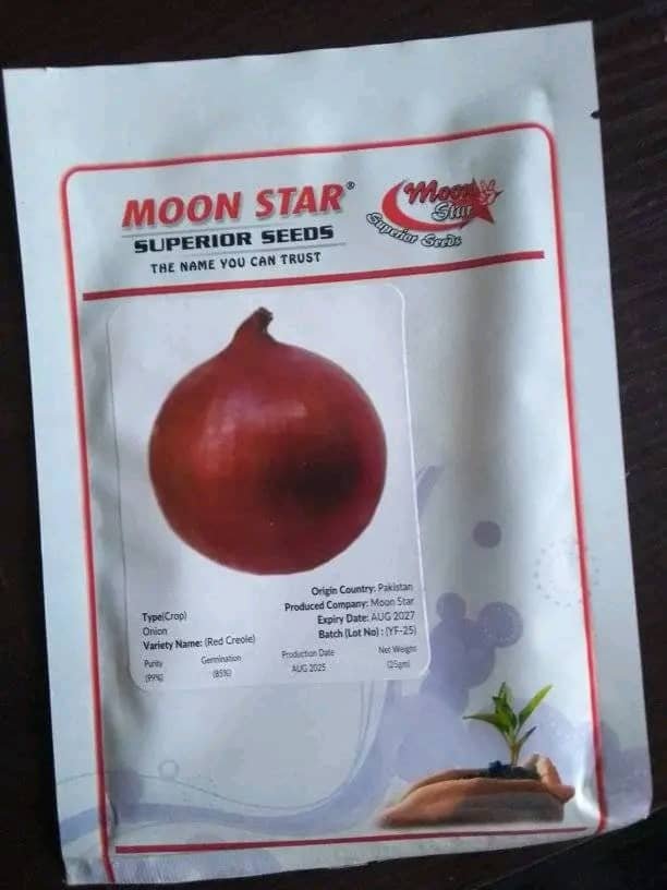 Onion seed pack 