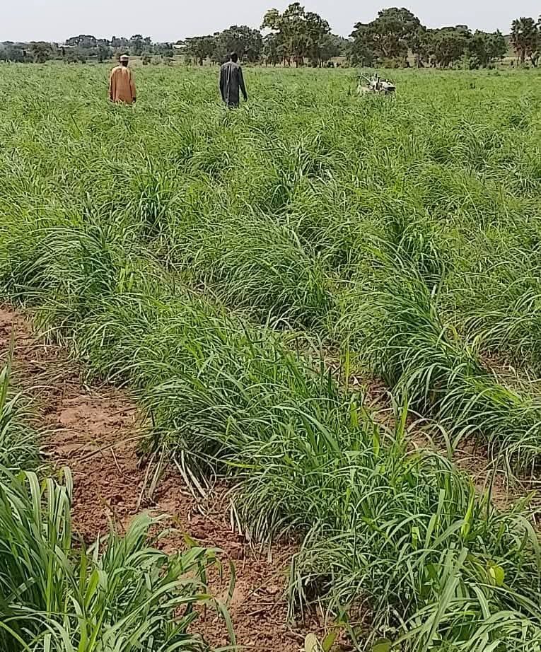 Agricultural Training & Advisory